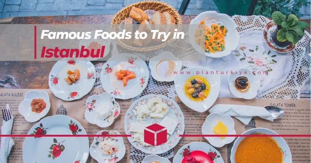 Foods to Try in Istanbul Food Tour